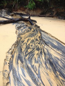 Nelson - Abel Tasman NP-040